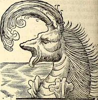 An illustration from Icones animalium quadrupedum uiuiparorum et ouiparorum : quae in Historiae animalium Conradi Gesneri libro I. et II. describuntur, cum nomenclaturis singulorum latinis, graecis, italicis, gallicis, et germanicis plerunque, et aliarum quoque linguarum, certis ordinibus digestae (1560)