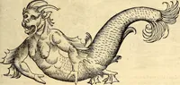 An illustration from Icones animalium quadrupedum uiuiparorum et ouiparorum : quae in Historiae animalium Conradi Gesneri libro I. et II. describuntur, cum nomenclaturis singulorum latinis, graecis, italicis, gallicis, et germanicis plerunque, et aliarum quoque linguarum, certis ordinibus digestae (1560)