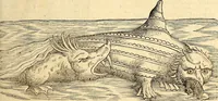 An illustration from Icones animalium quadrupedum uiuiparorum et ouiparorum : quae in Historiae animalium Conradi Gesneri libro I. et II. describuntur, cum nomenclaturis singulorum latinis, graecis, italicis, gallicis, et germanicis plerunque, et aliarum quoque linguarum, certis ordinibus digestae (1560)