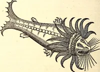 An illustration from Icones animalium quadrupedum uiuiparorum et ouiparorum : quae in Historiae animalium Conradi Gesneri libro I. et II. describuntur, cum nomenclaturis singulorum latinis, graecis, italicis, gallicis, et germanicis plerunque, et aliarum quoque linguarum, certis ordinibus digestae (1560)