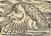 An illustration from Icones animalium quadrupedum uiuiparorum et ouiparorum : quae in Historiae animalium Conradi Gesneri libro I. et II. describuntur, cum nomenclaturis singulorum latinis, graecis, italicis, gallicis, et germanicis plerunque, et aliarum quoque linguarum, certis ordinibus digestae (1560)