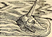 An illustration from Icones animalium quadrupedum uiuiparorum et ouiparorum : quae in Historiae animalium Conradi Gesneri libro I. et II. describuntur, cum nomenclaturis singulorum latinis, graecis, italicis, gallicis, et germanicis plerunque, et aliarum quoque linguarum, certis ordinibus digestae (1560)