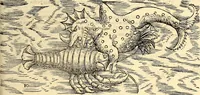 An illustration from Icones animalium quadrupedum uiuiparorum et ouiparorum : quae in Historiae animalium Conradi Gesneri libro I. et II. describuntur, cum nomenclaturis singulorum latinis, graecis, italicis, gallicis, et germanicis plerunque, et aliarum quoque linguarum, certis ordinibus digestae (1560)