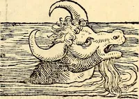 An illustration from Icones animalium quadrupedum uiuiparorum et ouiparorum : quae in Historiae animalium Conradi Gesneri libro I. et II. describuntur, cum nomenclaturis singulorum latinis, graecis, italicis, gallicis, et germanicis plerunque, et aliarum quoque linguarum, certis ordinibus digestae (1560)