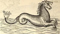 An illustration from Icones animalium quadrupedum uiuiparorum et ouiparorum : quae in Historiae animalium Conradi Gesneri libro I. et II. describuntur, cum nomenclaturis singulorum latinis, graecis, italicis, gallicis, et germanicis plerunque, et aliarum quoque linguarum, certis ordinibus digestae (1560)