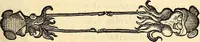 An illustration from Icones animalium quadrupedum uiuiparorum et ouiparorum : quae in Historiae animalium Conradi Gesneri libro I. et II. describuntur, cum nomenclaturis singulorum latinis, graecis, italicis, gallicis, et germanicis plerunque, et aliarum quoque linguarum, certis ordinibus digestae (1560)