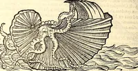 An illustration from Icones animalium quadrupedum uiuiparorum et ouiparorum : quae in Historiae animalium Conradi Gesneri libro I. et II. describuntur, cum nomenclaturis singulorum latinis, graecis, italicis, gallicis, et germanicis plerunque, et aliarum quoque linguarum, certis ordinibus digestae (1560)