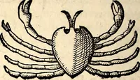 An illustration from Icones animalium quadrupedum uiuiparorum et ouiparorum : quae in Historiae animalium Conradi Gesneri libro I. et II. describuntur, cum nomenclaturis singulorum latinis, graecis, italicis, gallicis, et germanicis plerunque, et aliarum quoque linguarum, certis ordinibus digestae (1560)