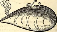 An illustration from Icones animalium quadrupedum uiuiparorum et ouiparorum : quae in Historiae animalium Conradi Gesneri libro I. et II. describuntur, cum nomenclaturis singulorum latinis, graecis, italicis, gallicis, et germanicis plerunque, et aliarum quoque linguarum, certis ordinibus digestae (1560)
