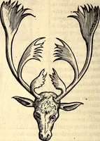 An illustration from Icones animalium quadrupedum uiuiparorum et ouiparorum : quae in Historiae animalium Conradi Gesneri libro I. et II. describuntur, cum nomenclaturis singulorum latinis, graecis, italicis, gallicis, et germanicis plerunque, et aliarum quoque linguarum, certis ordinibus digestae (1560)