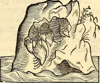 An illustration from Icones animalium quadrupedum uiuiparorum et ouiparorum : quae in Historiae animalium Conradi Gesneri libro I. et II. describuntur, cum nomenclaturis singulorum latinis, graecis, italicis, gallicis, et germanicis plerunque, et aliarum quoque linguarum, certis ordinibus digestae (1560)
