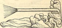 An illustration from Icones animalium quadrupedum uiuiparorum et ouiparorum : quae in Historiae animalium Conradi Gesneri libro I. et II. describuntur, cum nomenclaturis singulorum latinis, graecis, italicis, gallicis, et germanicis plerunque, et aliarum quoque linguarum, certis ordinibus digestae (1560)