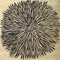 An illustration from Icones animalium quadrupedum uiuiparorum et ouiparorum : quae in Historiae animalium Conradi Gesneri libro I. et II. describuntur, cum nomenclaturis singulorum latinis, graecis, italicis, gallicis, et germanicis plerunque, et aliarum quoque linguarum, certis ordinibus digestae (1560)