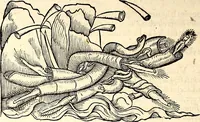 An illustration from Icones animalium quadrupedum uiuiparorum et ouiparorum : quae in Historiae animalium Conradi Gesneri libro I. et II. describuntur, cum nomenclaturis singulorum latinis, graecis, italicis, gallicis, et germanicis plerunque, et aliarum quoque linguarum, certis ordinibus digestae (1560)
