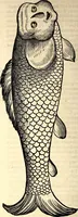An illustration from Icones animalium quadrupedum uiuiparorum et ouiparorum : quae in Historiae animalium Conradi Gesneri libro I. et II. describuntur, cum nomenclaturis singulorum latinis, graecis, italicis, gallicis, et germanicis plerunque, et aliarum quoque linguarum, certis ordinibus digestae (1560)
