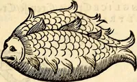 An illustration from Icones animalium quadrupedum uiuiparorum et ouiparorum : quae in Historiae animalium Conradi Gesneri libro I. et II. describuntur, cum nomenclaturis singulorum latinis, graecis, italicis, gallicis, et germanicis plerunque, et aliarum quoque linguarum, certis ordinibus digestae (1560)