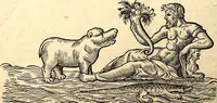 An illustration from Icones animalium quadrupedum uiuiparorum et ouiparorum : quae in Historiae animalium Conradi Gesneri libro I. et II. describuntur, cum nomenclaturis singulorum latinis, graecis, italicis, gallicis, et germanicis plerunque, et aliarum quoque linguarum, certis ordinibus digestae (1560)