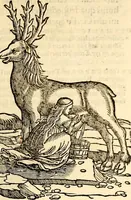 An illustration from Icones animalium quadrupedum uiuiparorum et ouiparorum : quae in Historiae animalium Conradi Gesneri libro I. et II. describuntur, cum nomenclaturis singulorum latinis, graecis, italicis, gallicis, et germanicis plerunque, et aliarum quoque linguarum, certis ordinibus digestae (1560)