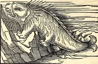 An illustration from Icones animalium quadrupedum uiuiparorum et ouiparorum : quae in Historiae animalium Conradi Gesneri libro I. et II. describuntur, cum nomenclaturis singulorum latinis, graecis, italicis, gallicis, et germanicis plerunque, et aliarum quoque linguarum, certis ordinibus digestae (1560)