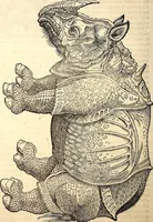 An illustration from Icones animalium quadrupedum uiuiparorum et ouiparorum : quae in Historiae animalium Conradi Gesneri libro I. et II. describuntur, cum nomenclaturis singulorum latinis, graecis, italicis, gallicis, et germanicis plerunque, et aliarum quoque linguarum, certis ordinibus digestae (1560)