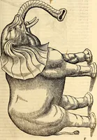 Picture 66 of 971 from Icones animalium quadrupedum uiuiparorum et ouiparorum : quae in Historiae animalium Conradi Gesneri libro I. et II. describuntur, cum nomenclaturis singulorum latinis, graecis, italicis, gallicis, et germanicis plerunque, et aliarum quoque linguarum, certis ordinibus digestae (1560), leaf 70