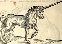 Picture 67 of 971 from Icones animalium quadrupedum uiuiparorum et ouiparorum : quae in Historiae animalium Conradi Gesneri libro I. et II. describuntur, cum nomenclaturis singulorum latinis, graecis, italicis, gallicis, et germanicis plerunque, et aliarum quoque linguarum, certis ordinibus digestae (1560), leaf 71