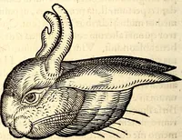 Picture 69 of 971 from Icones animalium quadrupedum uiuiparorum et ouiparorum : quae in Historiae animalium Conradi Gesneri libro I. et II. describuntur, cum nomenclaturis singulorum latinis, graecis, italicis, gallicis, et germanicis plerunque, et aliarum quoque linguarum, certis ordinibus digestae (1560), leaf 73