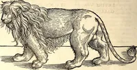 Picture 71 of 971 from Icones animalium quadrupedum uiuiparorum et ouiparorum : quae in Historiae animalium Conradi Gesneri libro I. et II. describuntur, cum nomenclaturis singulorum latinis, graecis, italicis, gallicis, et germanicis plerunque, et aliarum quoque linguarum, certis ordinibus digestae (1560), leaf 75