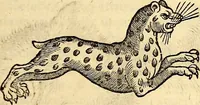 Picture 79 of 971 from Icones animalium quadrupedum uiuiparorum et ouiparorum : quae in Historiae animalium Conradi Gesneri libro I. et II. describuntur, cum nomenclaturis singulorum latinis, graecis, italicis, gallicis, et germanicis plerunque, et aliarum quoque linguarum, certis ordinibus digestae (1560), leaf 84