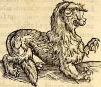 Picture 85 of 971 from Icones animalium quadrupedum uiuiparorum et ouiparorum : quae in Historiae animalium Conradi Gesneri libro I. et II. describuntur, cum nomenclaturis singulorum latinis, graecis, italicis, gallicis, et germanicis plerunque, et aliarum quoque linguarum, certis ordinibus digestae (1560), leaf 90