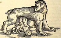 Picture 96 of 971 from Icones animalium quadrupedum uiuiparorum et ouiparorum : quae in Historiae animalium Conradi Gesneri libro I. et II. describuntur, cum nomenclaturis singulorum latinis, graecis, italicis, gallicis, et germanicis plerunque, et aliarum quoque linguarum, certis ordinibus digestae (1560), leaf 99