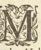 An illustration from Icones et epitaphia qvatvor postremorvm ducum Burgundiae ex augustissima Valesiorum familia = Les povrtraits des qvatre derniers Ducs de Bourgongne, de la royale maison de Valois (1587)