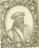 An illustration from Icones, id est, Verae imagines virorvm doctrina simvl et pietate illvstrivm, qvorvm praecipuè ministerio partim bonarum literarum studia sunt restituta, partim vera religio in variis orbis christiani regionibus, nostra patrúmque memoria fuit instaurata: additis eorundem vitae & operae descriptionibus, quibus adiectae sunt nonnullae picturae quas emblemata vocant (1580)