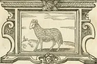 An illustration from Icones, id est, Verae imagines virorvm doctrina simvl et pietate illvstrivm, qvorvm praecipuè ministerio partim bonarum literarum studia sunt restituta, partim vera religio in variis orbis christiani regionibus, nostra patrúmque memoria fuit instaurata: additis eorundem vitae & operae descriptionibus, quibus adiectae sunt nonnullae picturae quas emblemata vocant (1580)