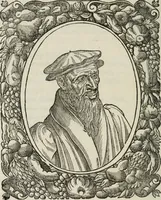 An illustration from Icones, id est, Verae imagines virorum doctrina simul et pietate illustrium, : quorum praecipuè ministerio partim bonarum literarum studia sunt restituta, partim vera religio in variis orbis Christiani regionibus, nostra patrúmque memoria fuit instaurata : additis eorundem vitae & operae descriptionibus, quibus adiectae sunt nonnullae picturae quas emblemata vocant. (1580)