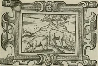 An illustration from Icones, id est, Verae imagines virorum doctrina simul et pietate illustrium, : quorum praecipuè ministerio partim bonarum literarum studia sunt restituta, partim vera religio in variis orbis Christiani regionibus, nostra patrúmque memoria fuit instaurata : additis eorundem vitae & operae descriptionibus, quibus adiectae sunt nonnullae picturae quas emblemata vocant. (1580)