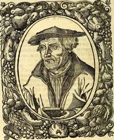An illustration from Icones, id est verae imagines virorum doctrina simul et pietate illustrium, quorum praecipuè ministerio partim bonarum literarum studia sunt restituta, partim vera religio in variis orbis Christiani regionibus, nostra patrúmque memoria fuit instaurata: additis eorundem vitae & operae descriptionibus, quibus adiectae sunt nonnullae picturae quas emblemata vocant (1580)