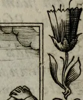 An illustration from Icones mortis : sexaginta imaginibus, totidemq[ue] (1648)
