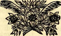 Picture 3 of 270 from Iconografia, cioè disegni d'imagini de famosissimi monarchi, regi, filosofi, poeti ed oratori dell'antichità, cauati (1669), leaf 12