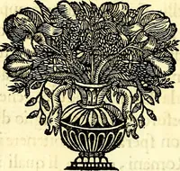 Picture 75 of 270 from Iconografia, cioè disegni d'imagini de famosissimi monarchi, regi, filosofi, poeti ed oratori dell'antichità, cauati (1669), leaf 143