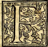 Picture 86 of 270 from Iconografia, cioè disegni d'imagini de famosissimi monarchi, regi, filosofi, poeti ed oratori dell'antichità, cauati (1669), leaf 162