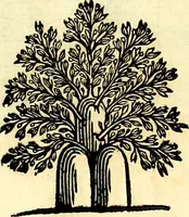 Picture 169 of 270 from Iconografia, cioè disegni d'imagini de famosissimi monarchi, regi, filosofi, poeti ed oratori dell'antichità, cauati (1669), leaf 314