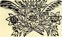 Picture 181 of 270 from Iconografia, cioè disegni d'imagini de famosissimi monarchi, regi, filosofi, poeti ed oratori dell'antichità, cauati (1669), leaf 334