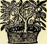 Picture 206 of 270 from Iconografia, cioè disegni d'imagini de famosissimi monarchi, regi, filosofi, poeti ed oratori dell'antichità, cauati (1669), leaf 370