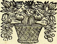 Picture 212 of 270 from Iconografia, cioè disegni d'imagini de famosissimi monarchi, regi, filosofi, poeti ed oratori dell'antichità, cauati (1669), leaf 378