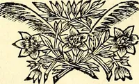 An illustration from Iconografia, cioè disegni d'imagini de famosissimi monarchi, regi, filosofi, poeti ed oratori dell'antichità, cauati (1669)