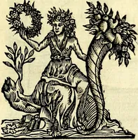 Picture 39 of 270 from Iconografia, cioè disegni d'imagini de famosissimi monarchi, regi, filosofi, poeti ed oratori dell'antichità, cauati (1669), leaf 76