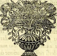 Picture 45 of 270 from Iconografia, cioè disegni d'imagini de famosissimi monarchi, regi, filosofi, poeti ed oratori dell'antichità, cauati (1669), leaf 89