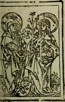 Picture 13 of 61 from Iconographia Birgittina typographica (1915), leaf 26