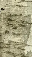 An illustration from The iconography of Manhattan Island, 1498-1909 : compiled from original sources and illustrated by photo-intaglio reproductions of important maps, plans, views, and documents in public and private collections (1915)